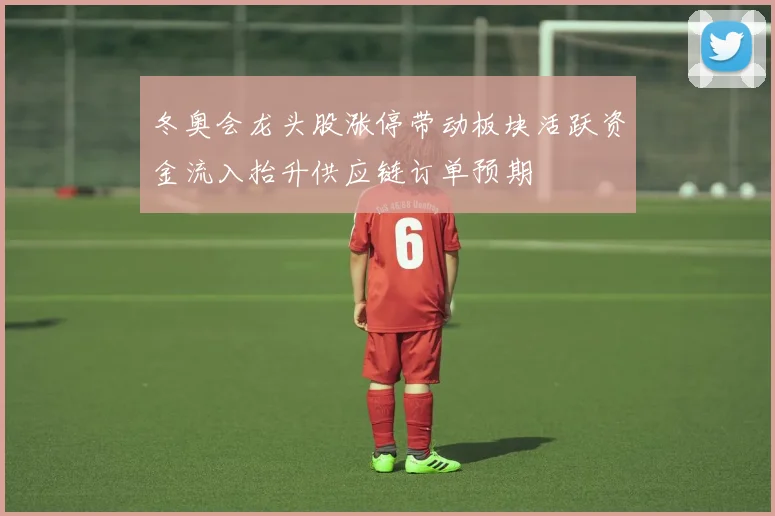 冬奥会龙头股涨停带动板块活跃资金流入抬升供应链订单预期